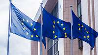 Europa-Flaggen Drei Fahnen mit der EU-Flagge
